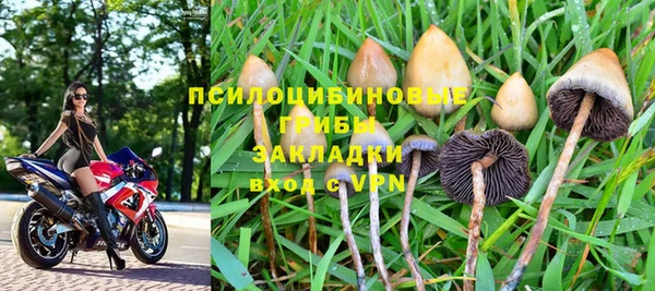 бошки Козловка
