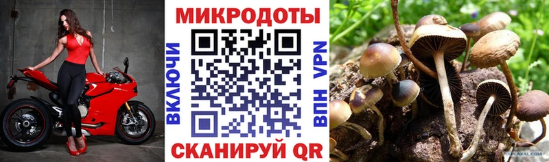 Галлюциногенные грибы Magic Shrooms  Купить где  Заполярный 